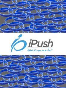 iPush Foundation logo