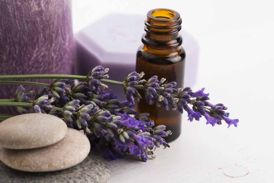 Essential oils are revered as one of nature’s greatest gifts.