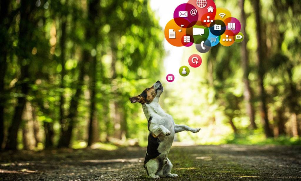 Don't worry if digital marketing and social media isn't your forte. Old dogs can learn new tricks - Cure Medical is here to help!