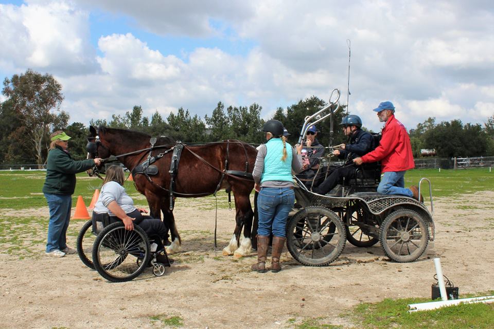 Carriage driving for people with physical disabilities