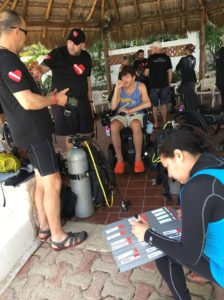 Contact Diveheart to learn more about their accessible diving excursions.